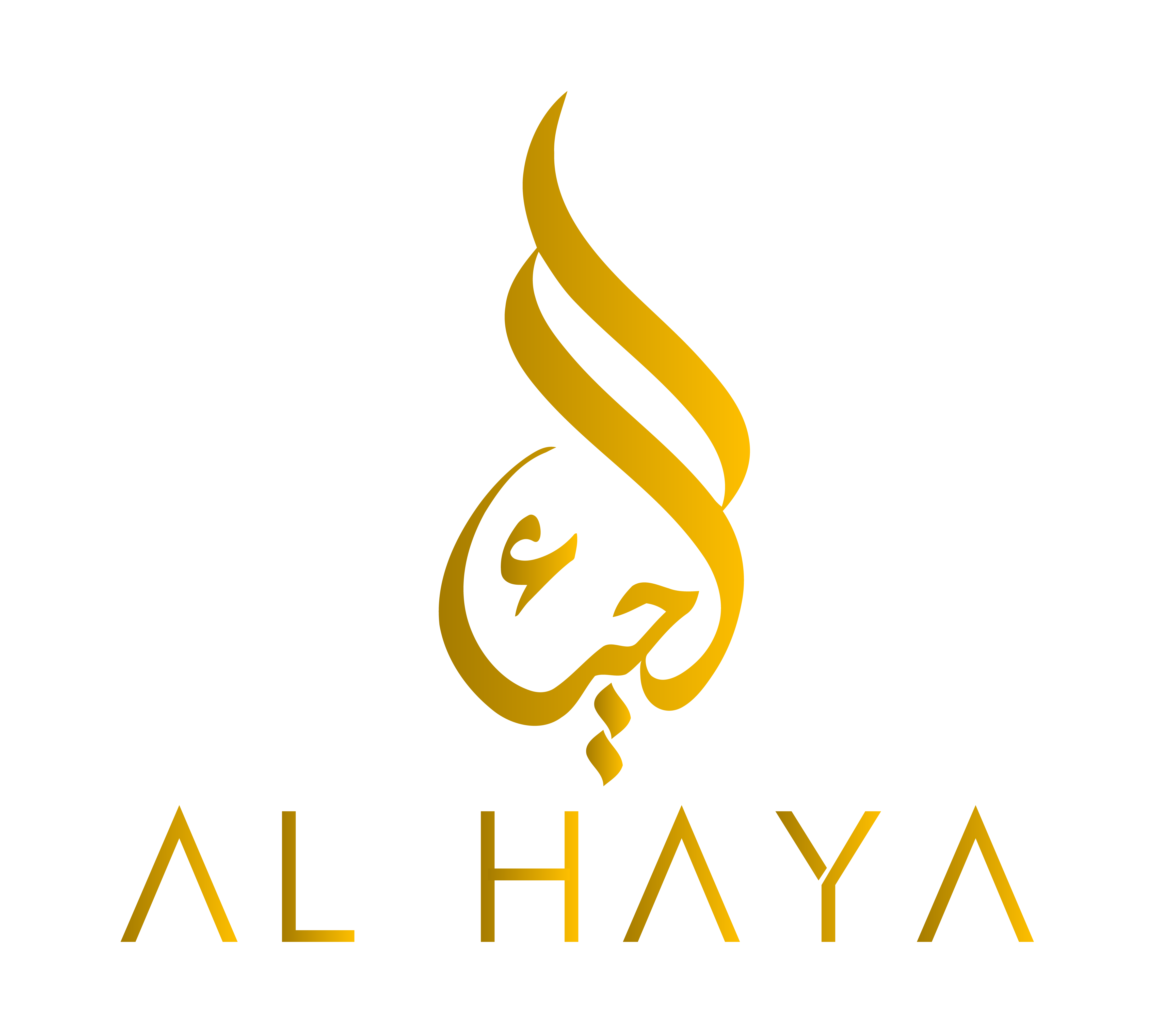 Al Haya Store