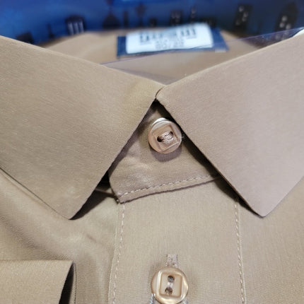 Al Aseel Classic Shirt Collar - Al Haya Store